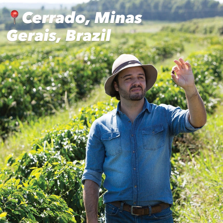 Farmer standing in a coffee plantation in Cerrado, Minas Gerais, Brazil.