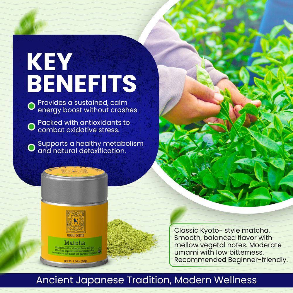 Matcha green tea packaging with key benefits highlighted and a person holding green leaves.