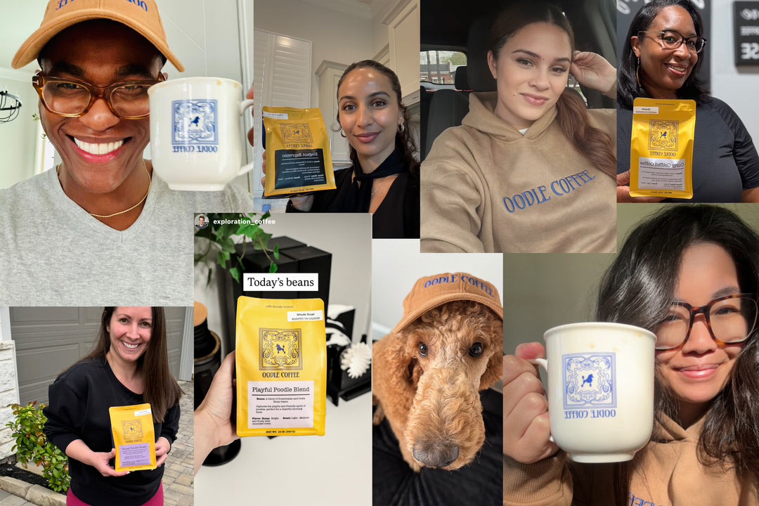 Oodle Coffee Community 